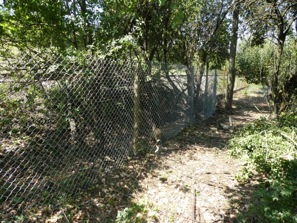 photo31.jpg