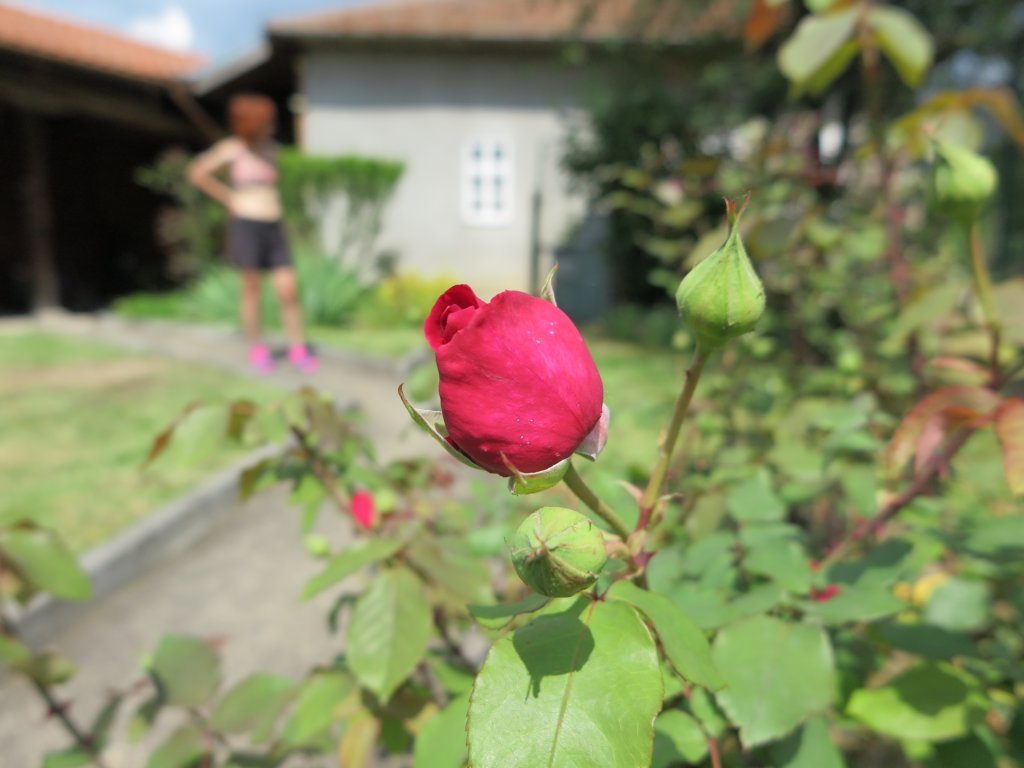photo18.jpg