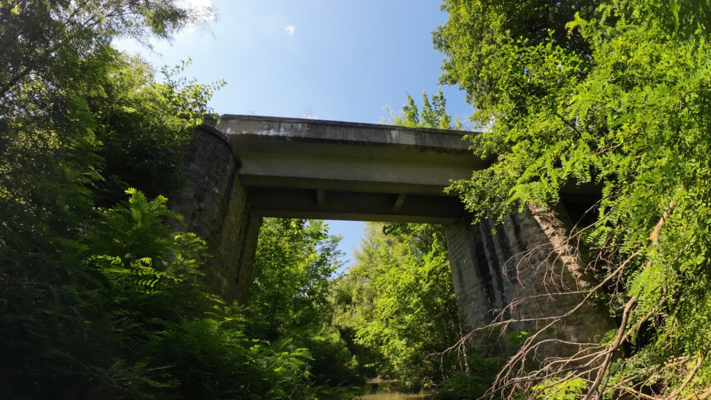 photo18.jpg
