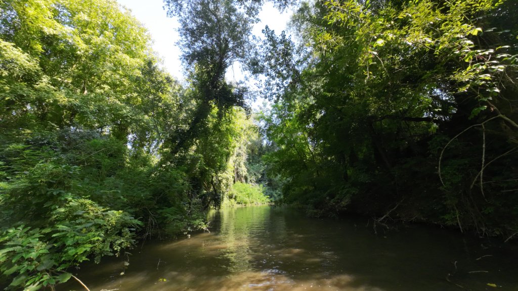 photo22.jpg