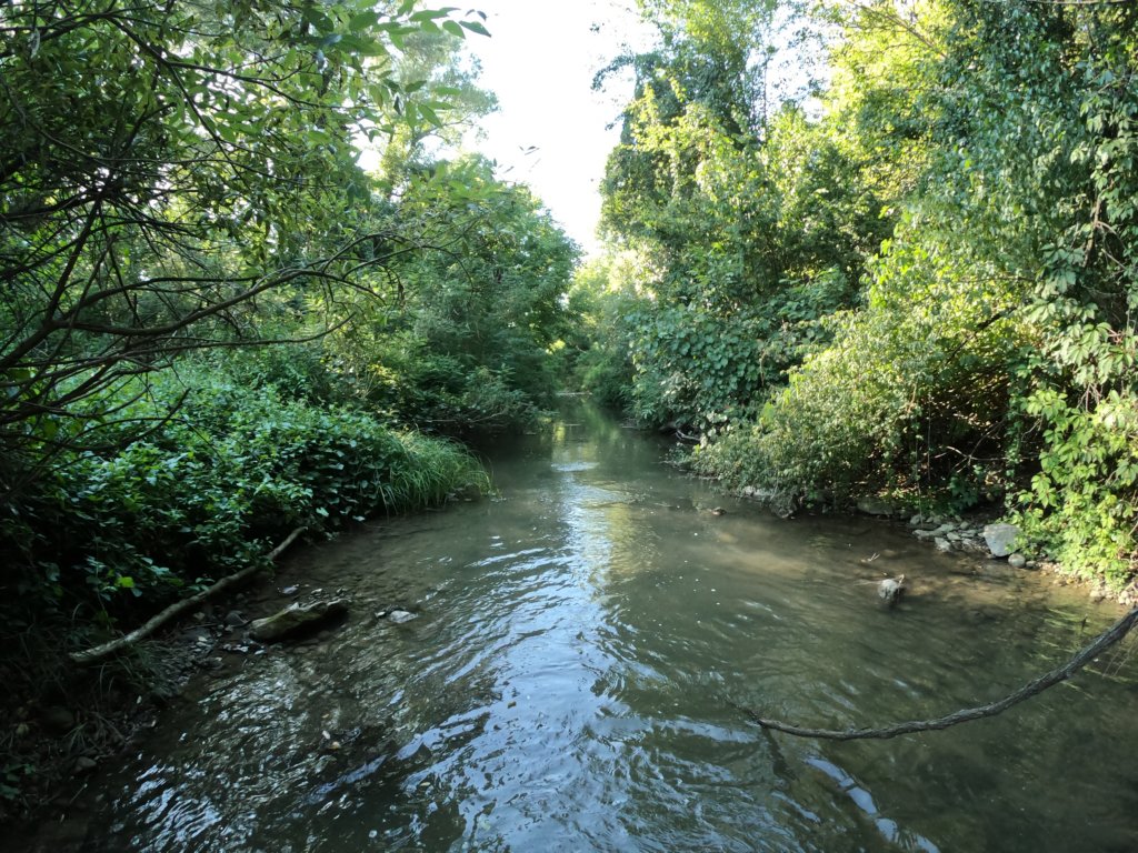 photo42.jpg