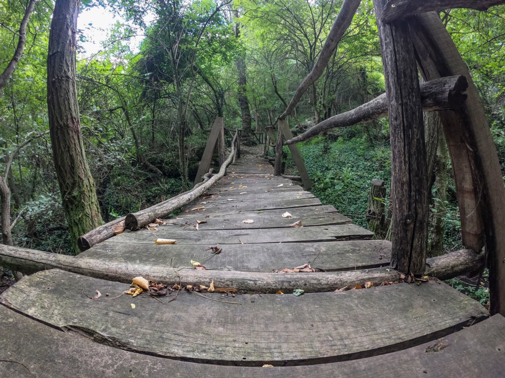 photo17.jpg