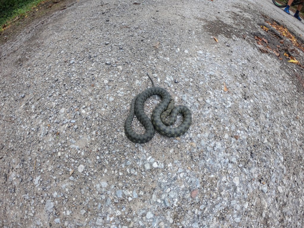 photo21.jpg