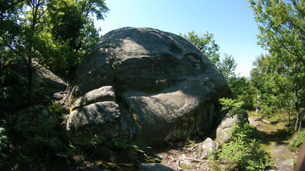 photo21.jpg