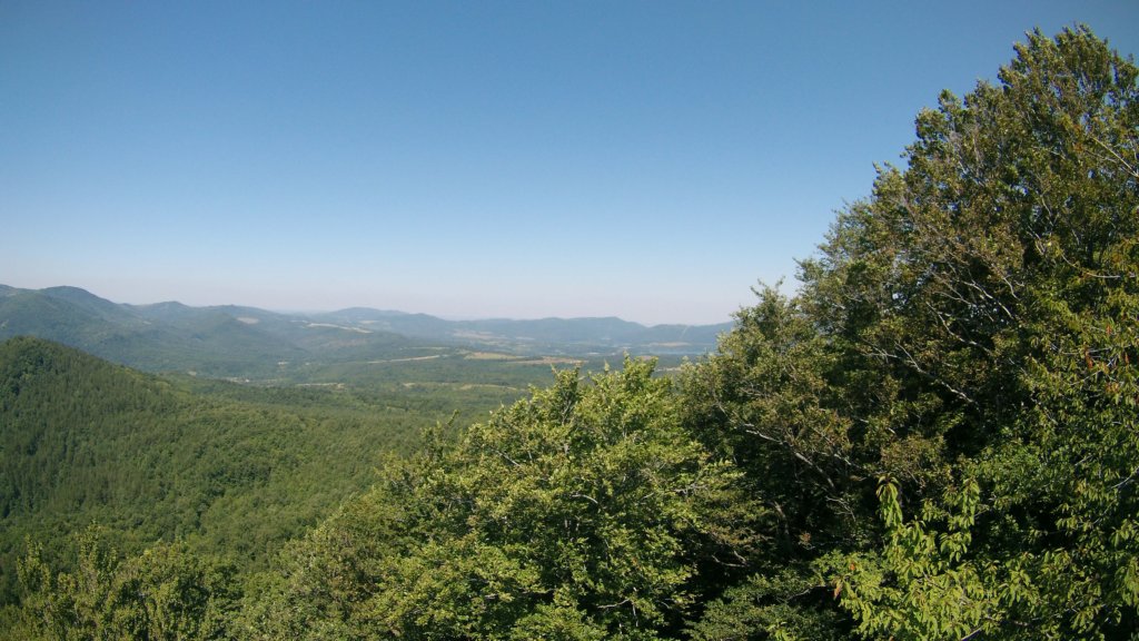 photo25.jpg