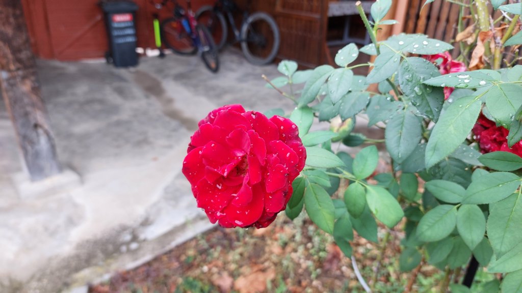 photo18.jpg