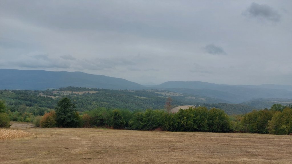 photo22.jpg