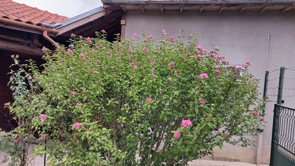 photo71.jpg