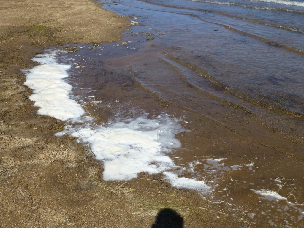photo15.jpg