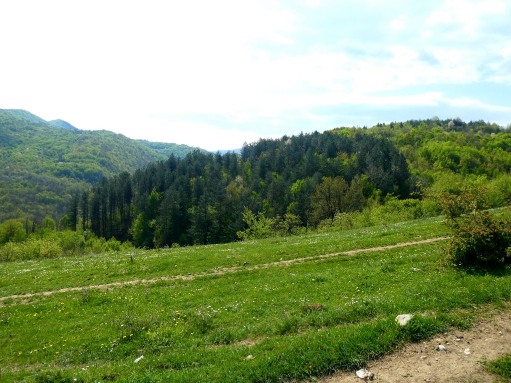 photo19.jpg