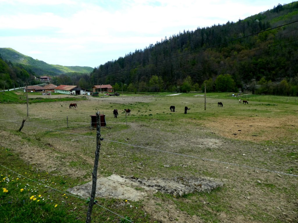 photo24.jpg