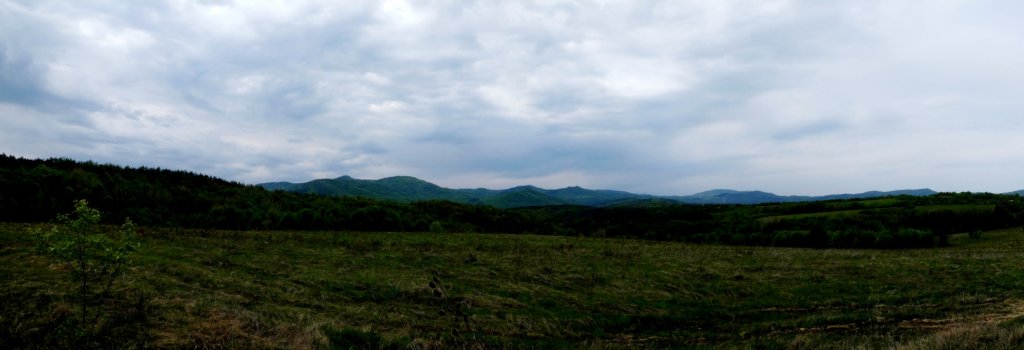 photo47.jpg