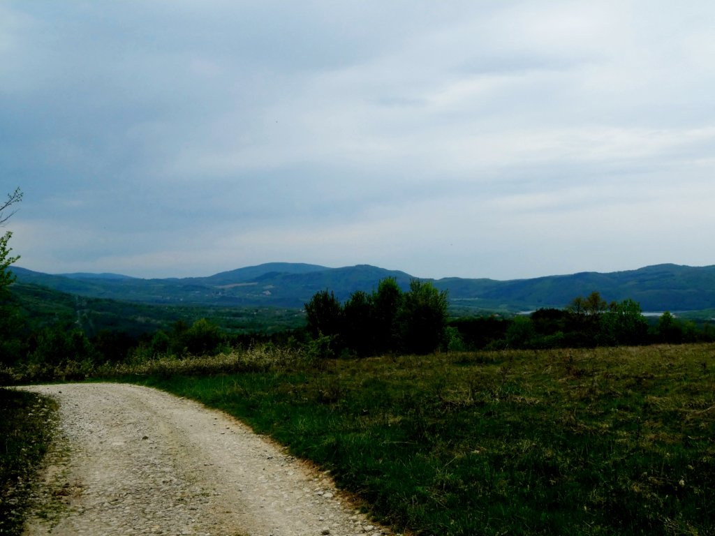 photo51.jpg