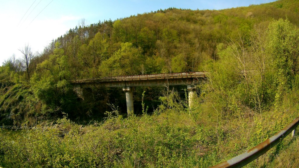 photo6.jpg