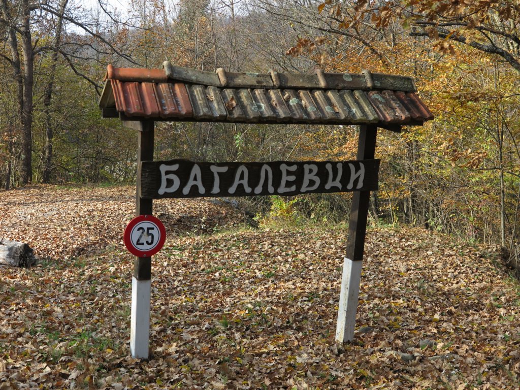 photo13.jpg