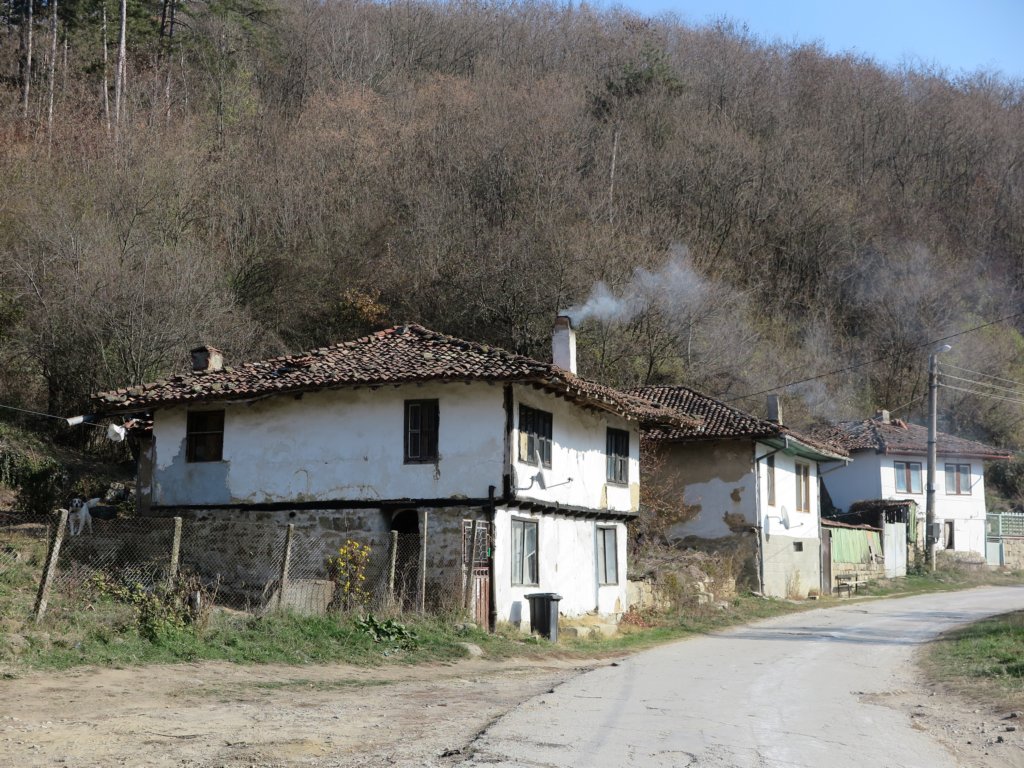 photo4.jpg